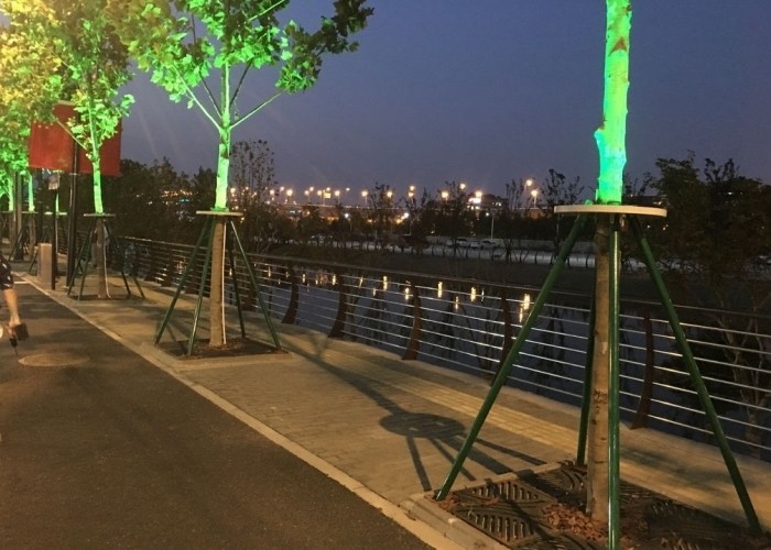 湘潭云龍國際幼兒園及周邊街道亮化