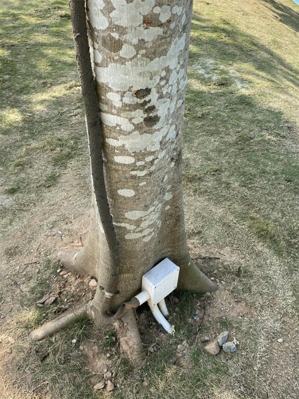 鳥窩投光燈照樹燈