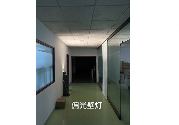 偏光壁燈 打墻+打檐